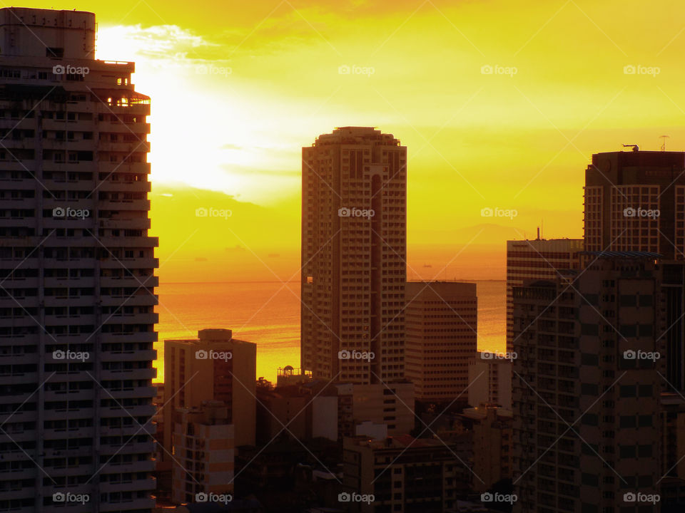 Your local treasures