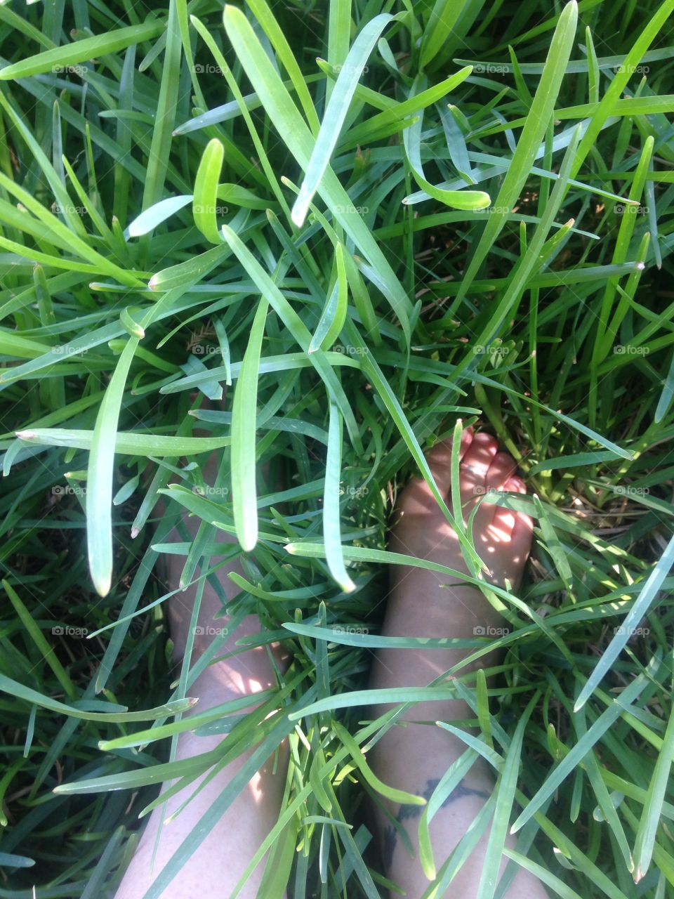 Barefoot in the tall grass