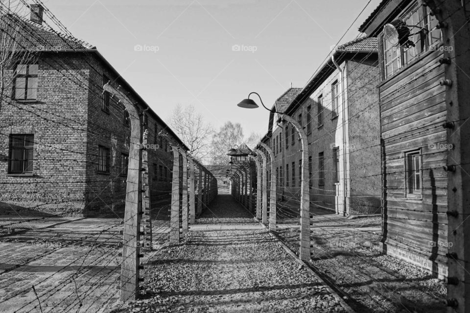 Holocaust, Auschwitz - Poland