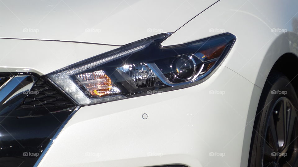 Nissan Maxima Headlight