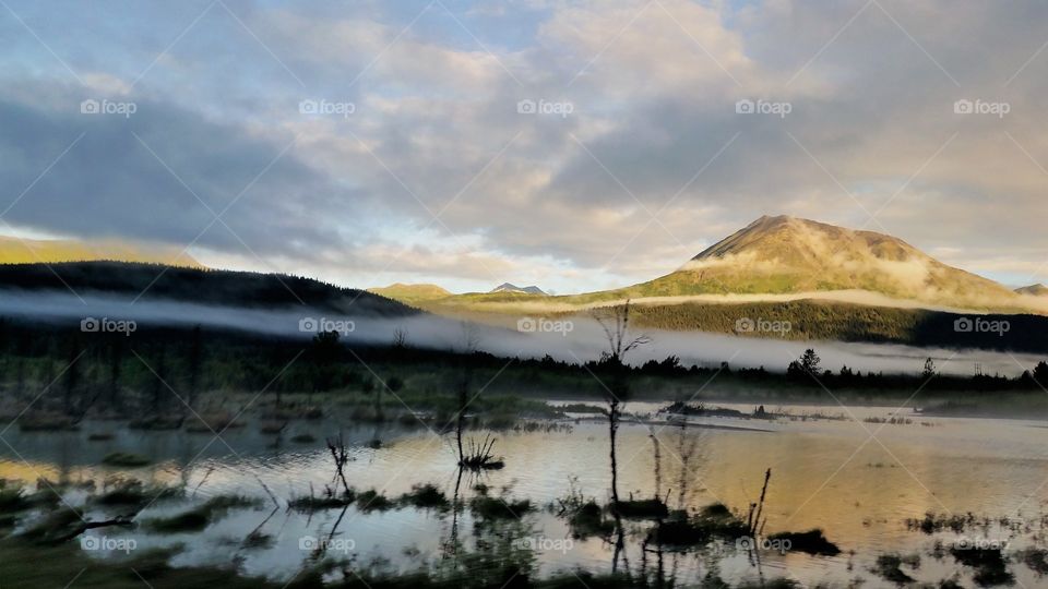 Alaska's swamps