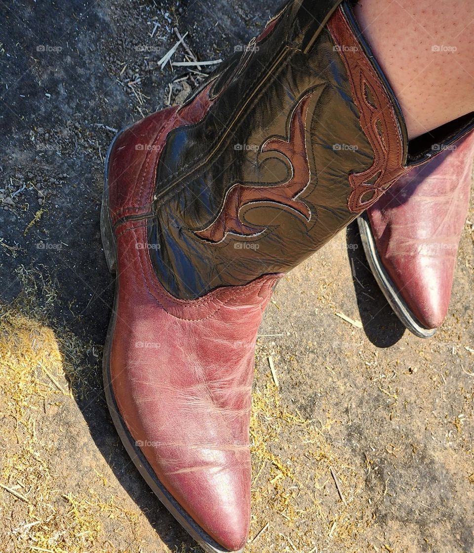 close-up of a stylish woman's brown and black western boot on an Oregon country Farm