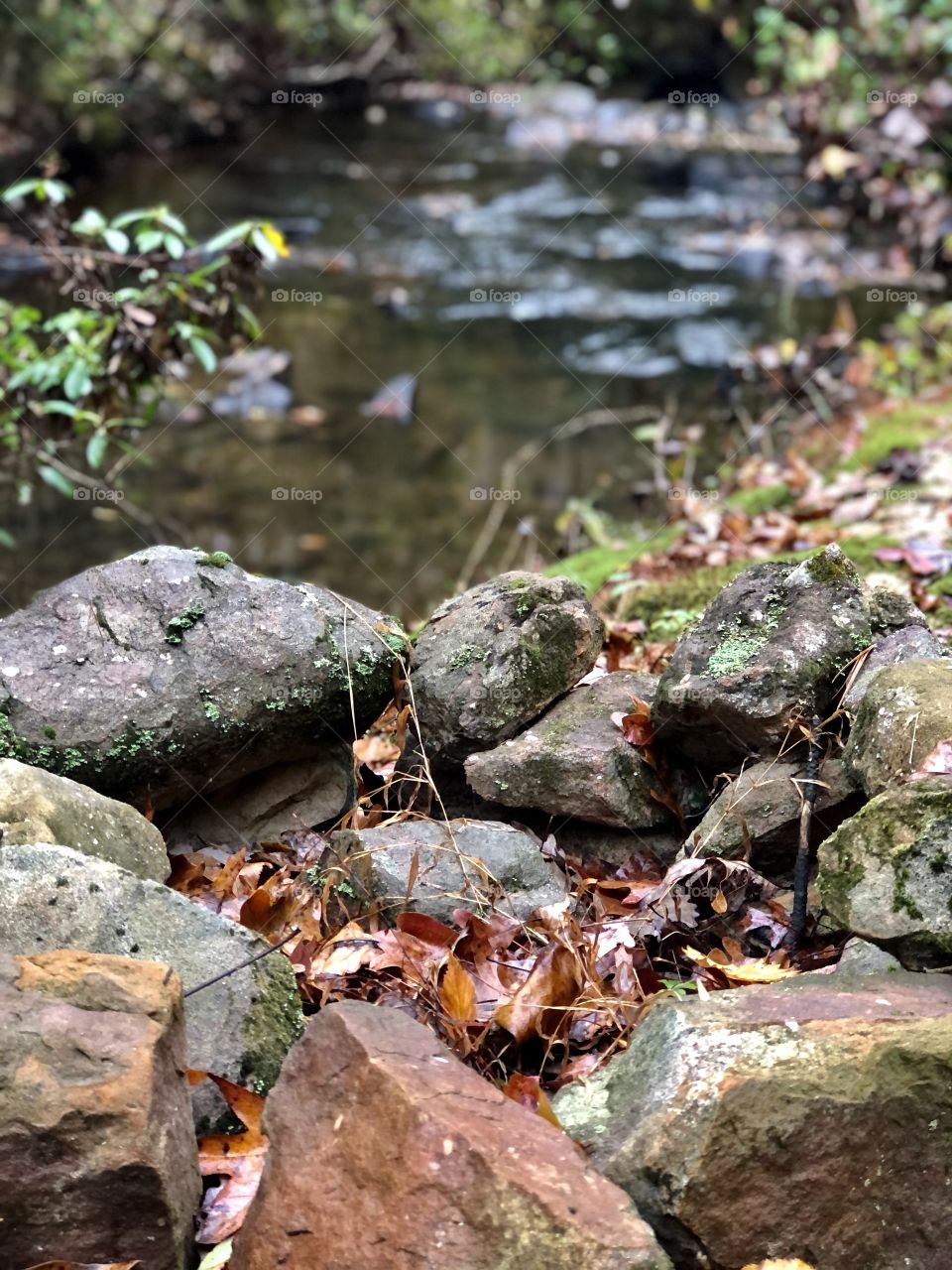 Stone fire ring beside Bear Creek