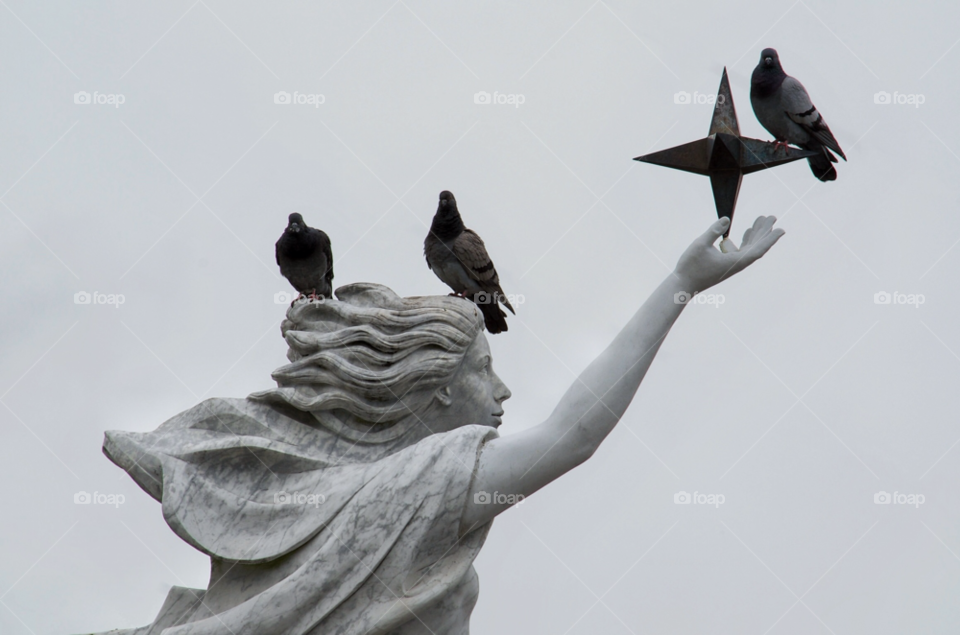 city nature birds statue by seanpierce