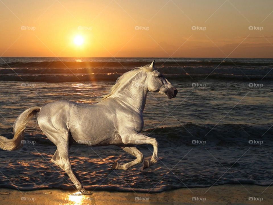 iets a very nice pic of the nature