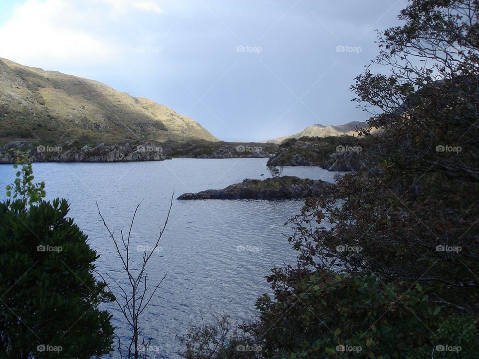 Evening in the lakeshore