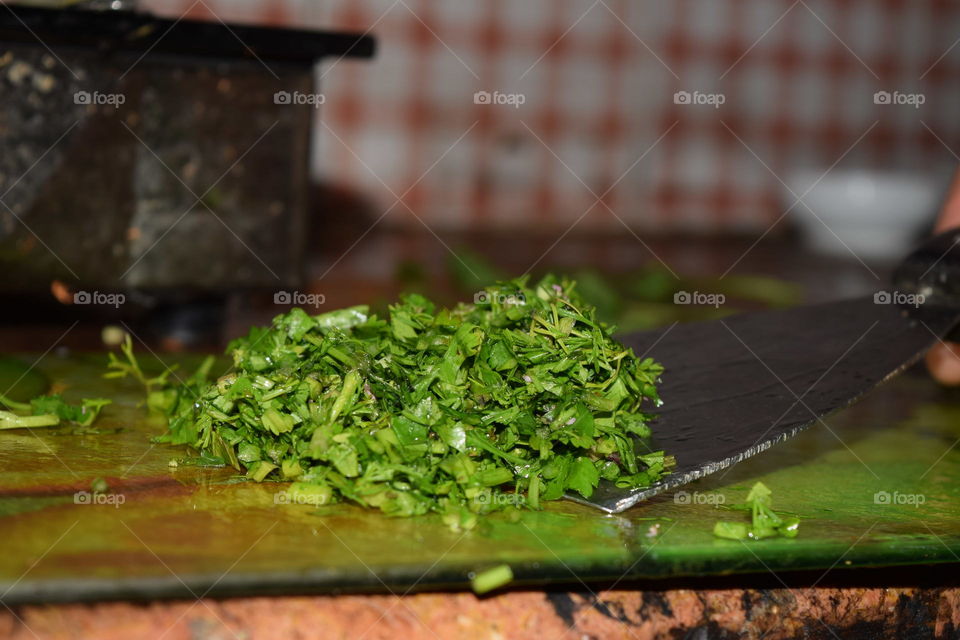 Coriander