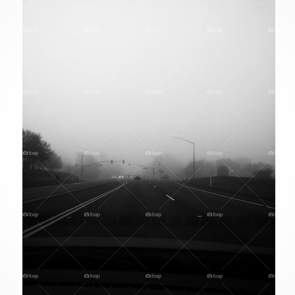 Into the Fog. Foggy mornings on the highway