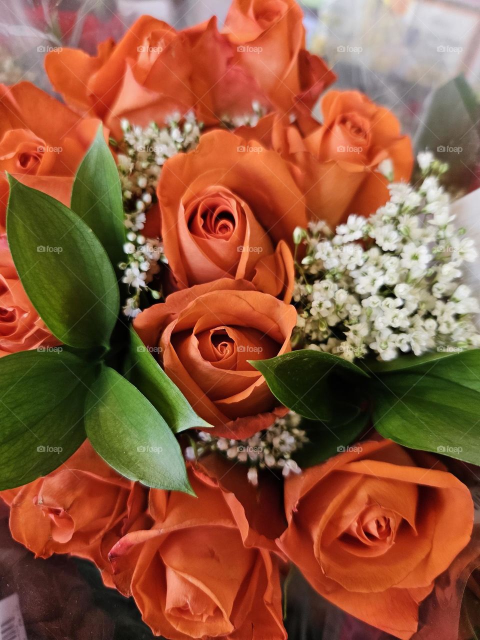 orange roses