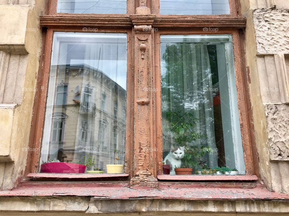 Window, House, Architecture, Old, Family