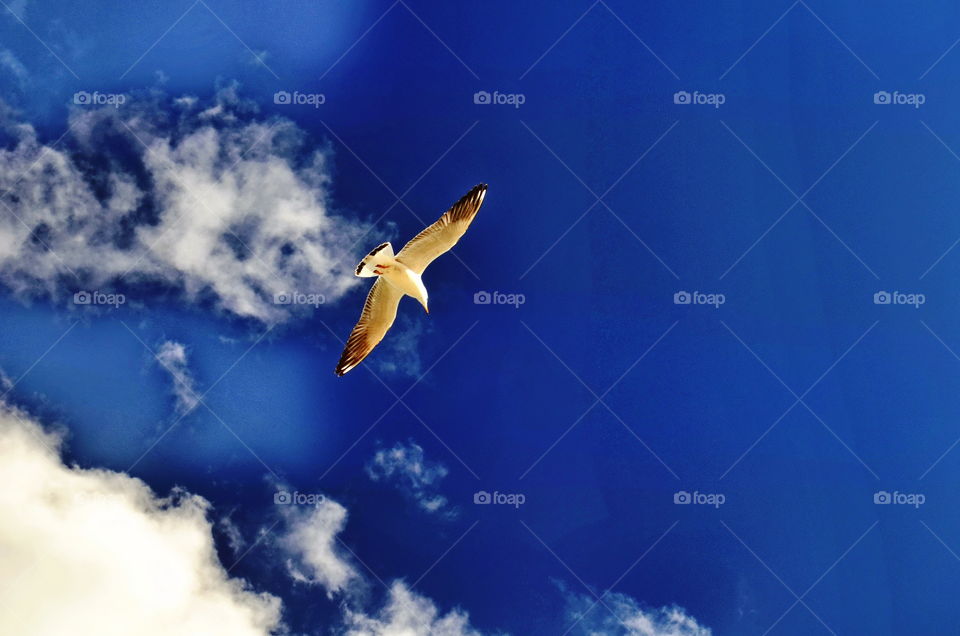 What if such a weather will be for ever and ever? 😎