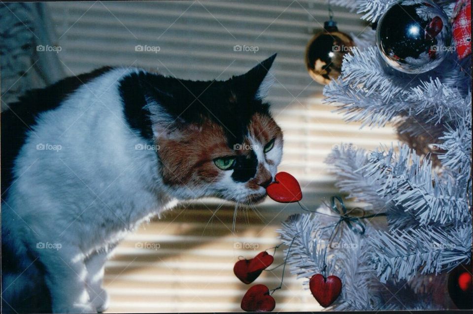 Calico cat Christmas tree hearts