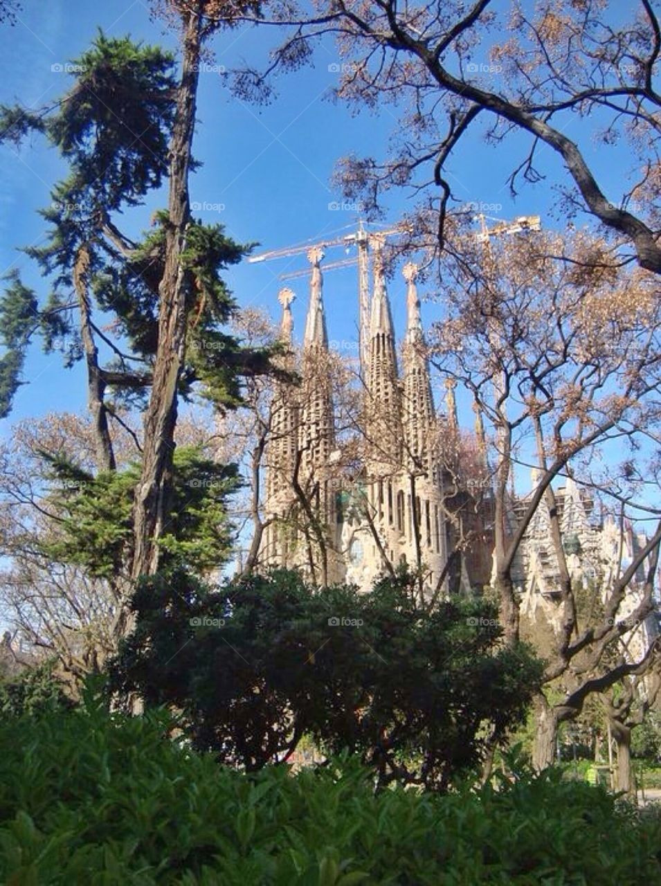 Sagrada familia