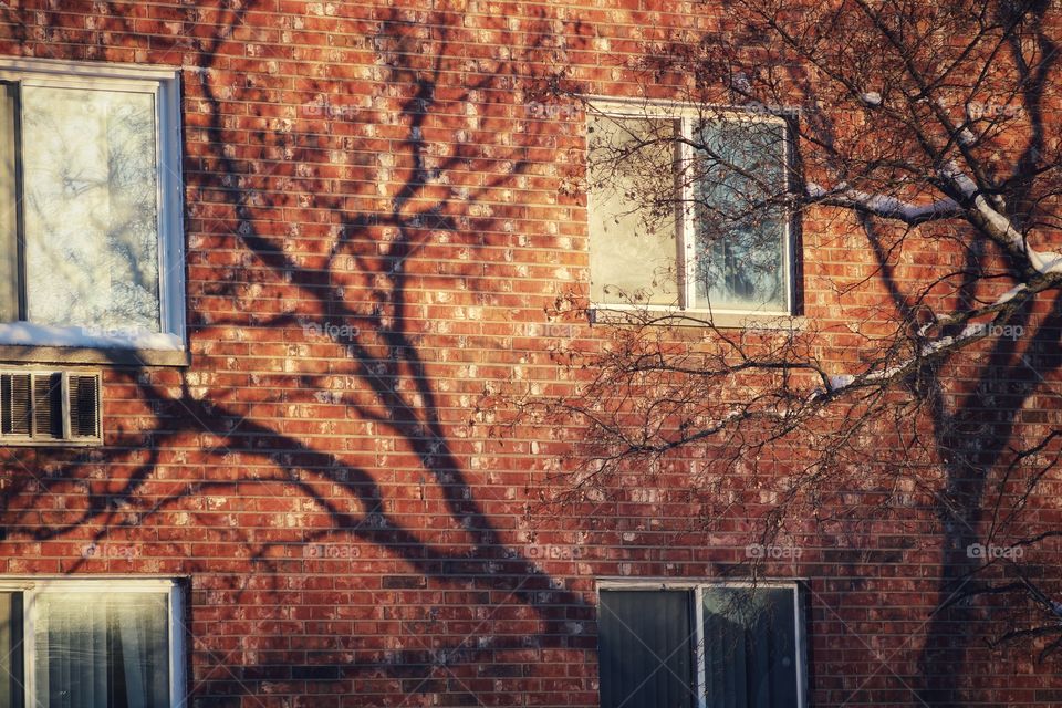 shadow on the bricks