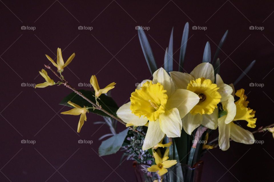 Yellow flowers