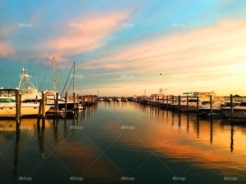 Boats moored at harbor during sunset