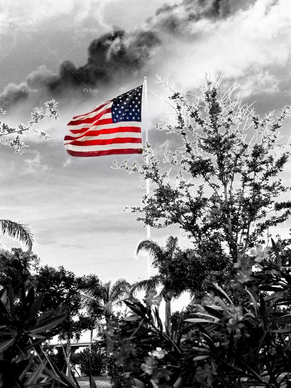 USA flag in Florida 