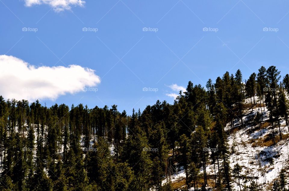 group1 black hills by refocusphoto