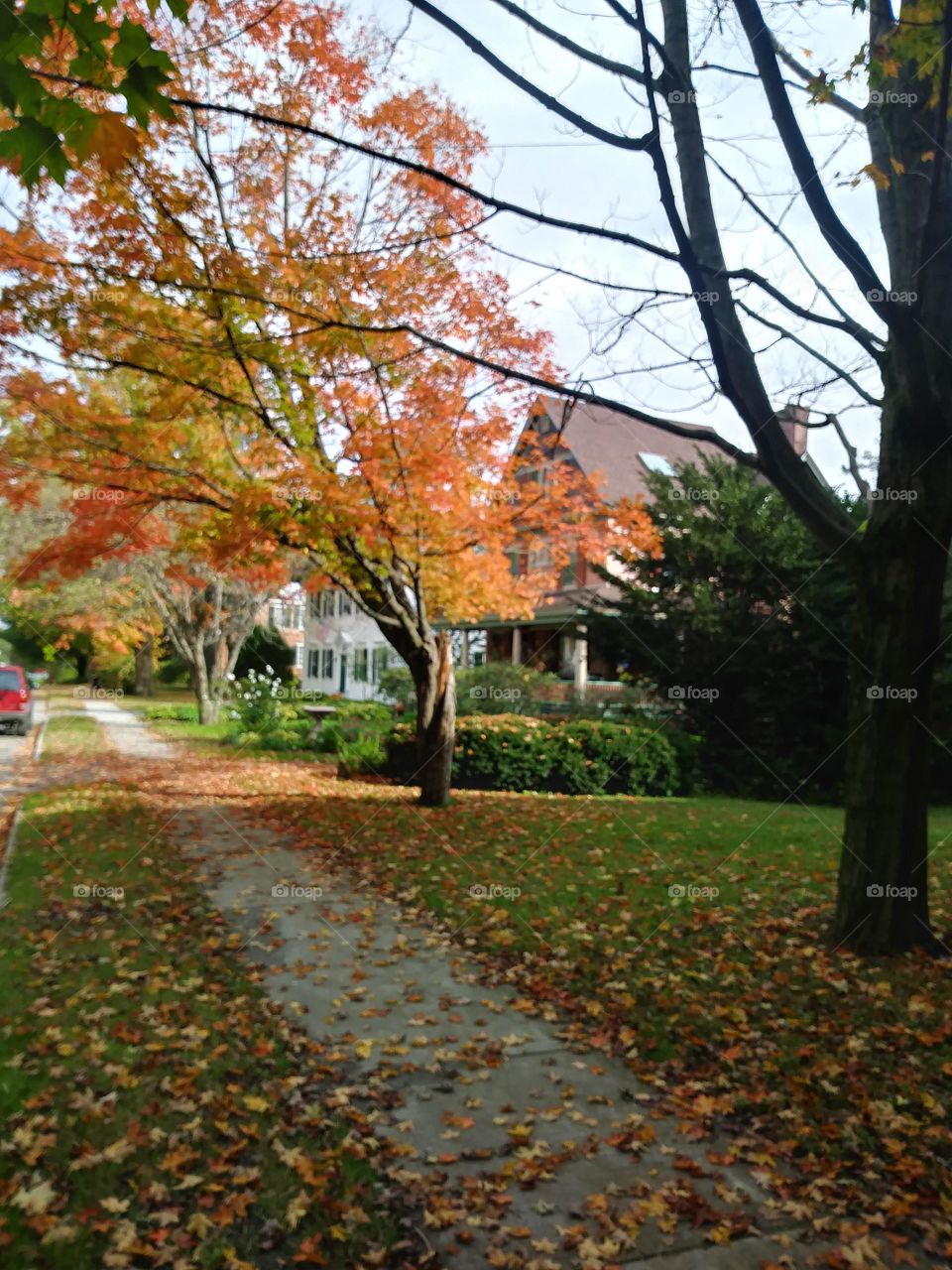 such a peaceful little town, fall is in full bloom.