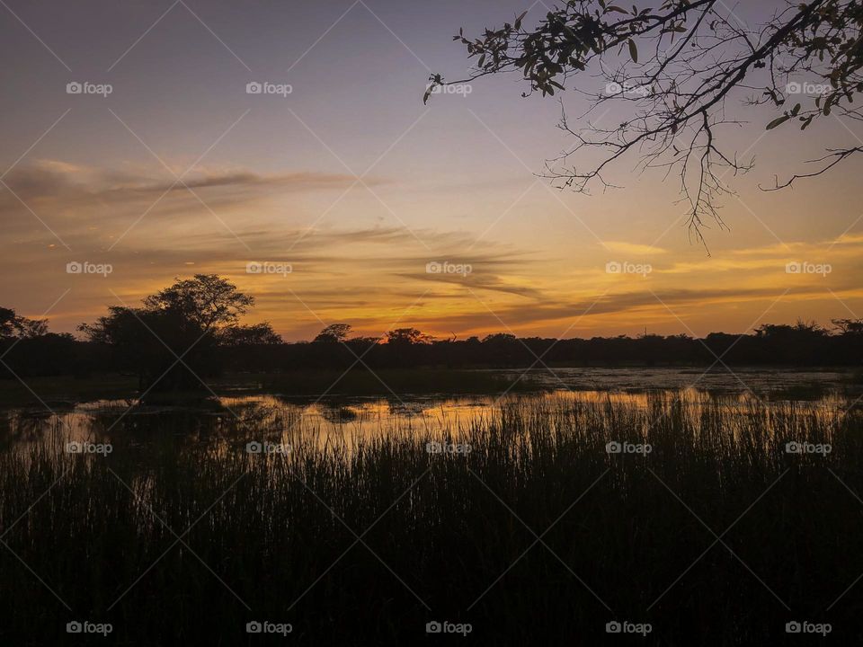 evening vibes darkness coming