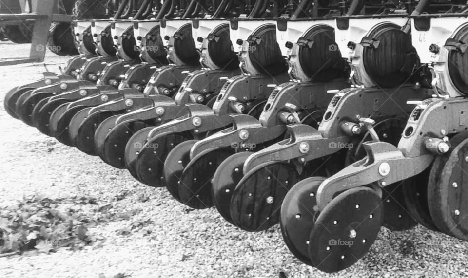 Black and White Farming