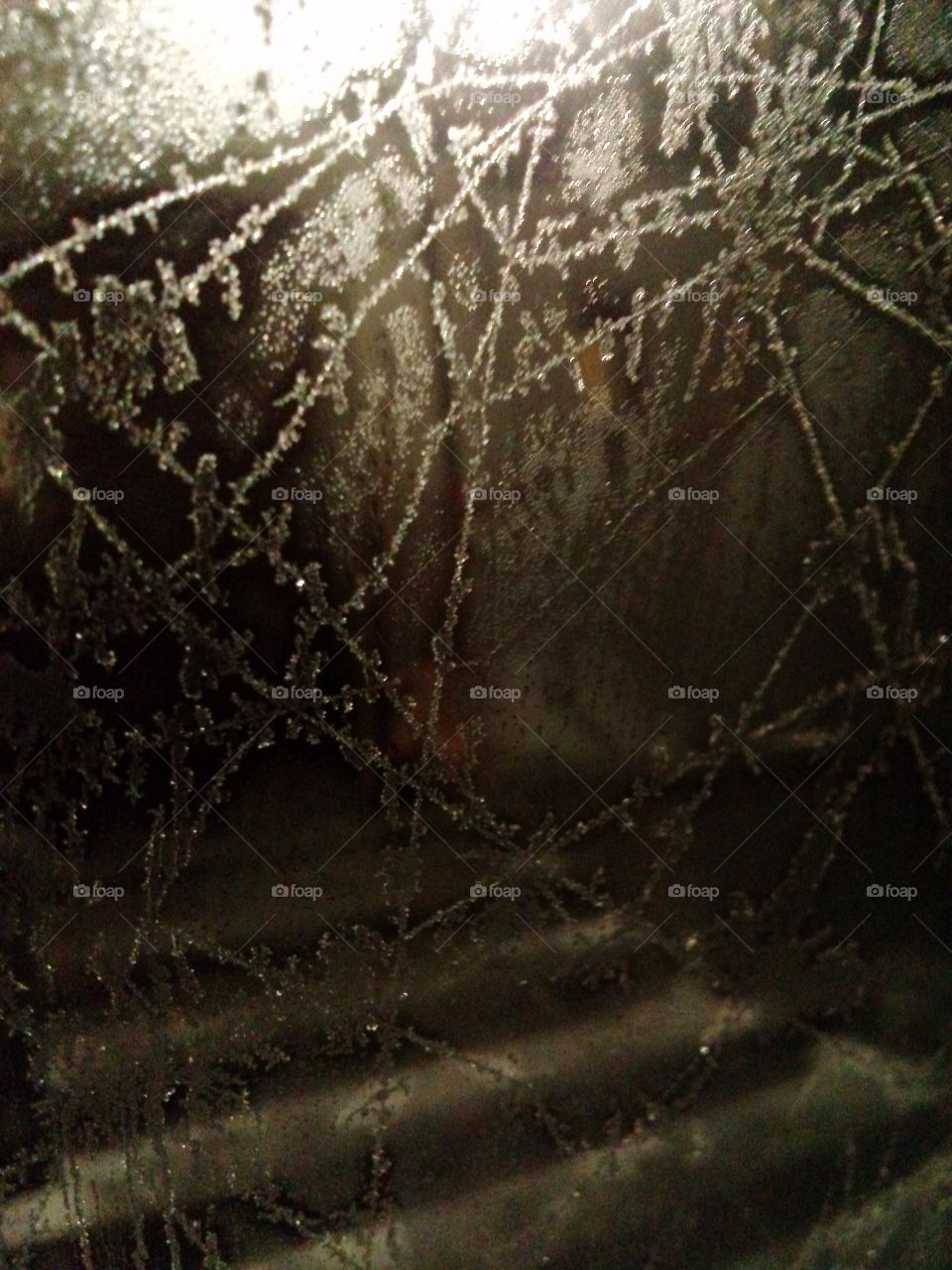 frozen window