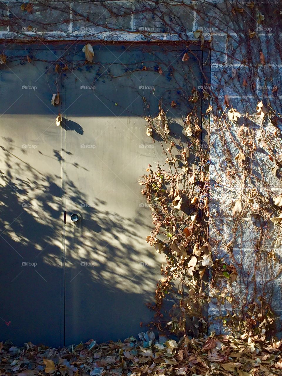 An unused painted metal door to a cinder block building covered with dead vines and leaves 