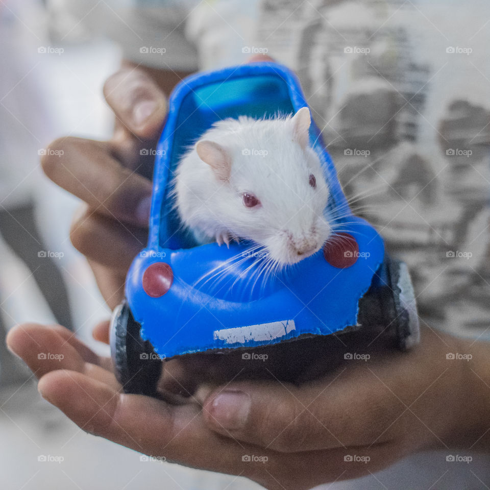 Too much traffic!  I'll walk!