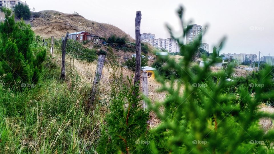 nature and buildings