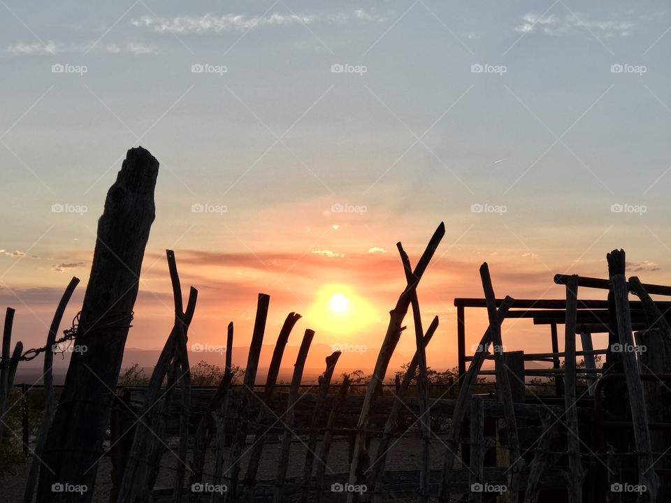 Sunset over the desert