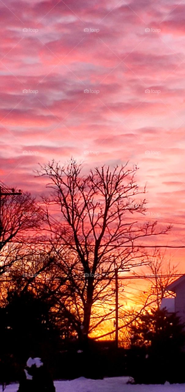 Sunrises & Sunsets of USA! Pic taken in very early sunrise creating these beautiful colors. The whole sky visible on this clear morning in New England!