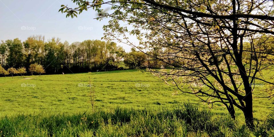 Nieder Eschbach, Germany