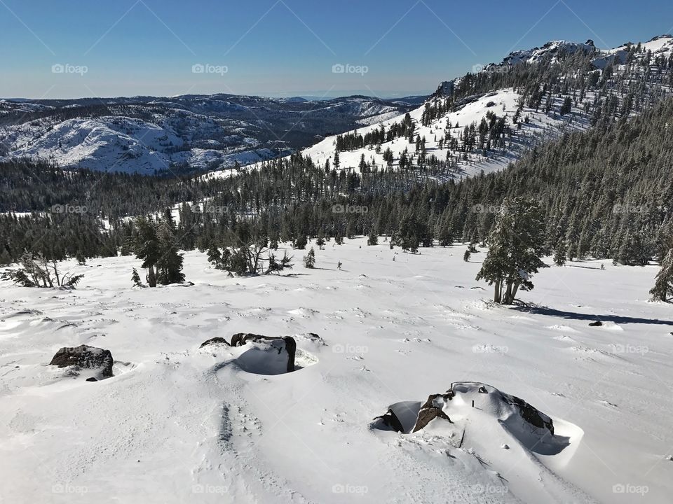 Scenic view of trees on mountains