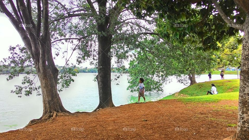 Square Pond in the city