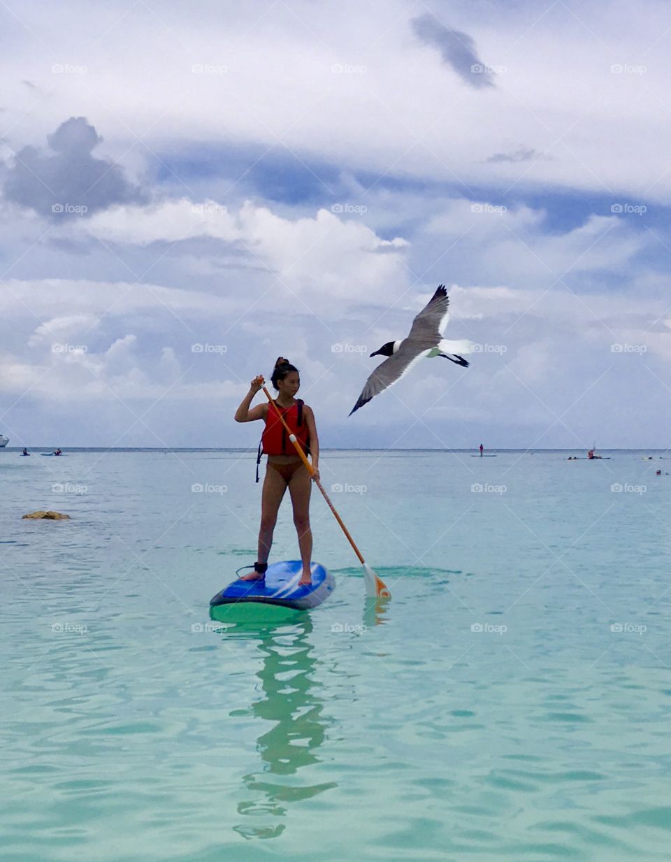 Close encounters- seagull flew over girl paddle boarding 