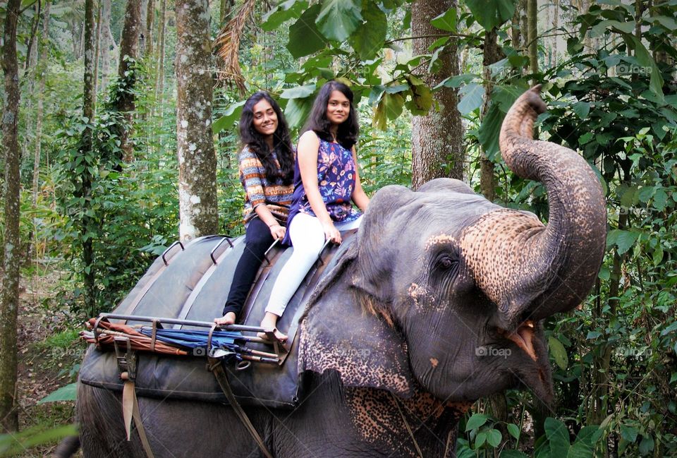 Riding the majestic elephant