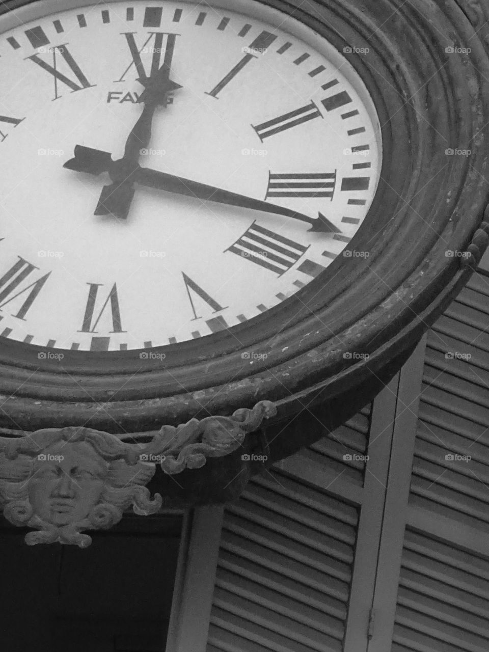 Life in black and white