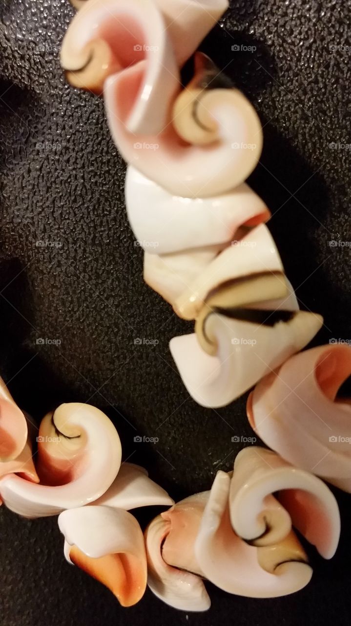 Small Hawaiian Shells