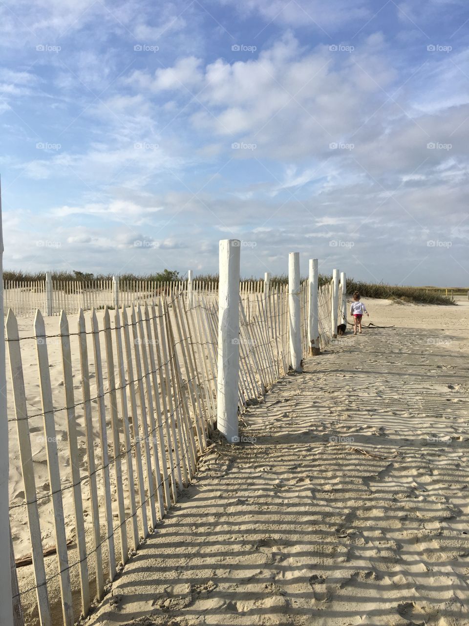 Along the Beach Fence