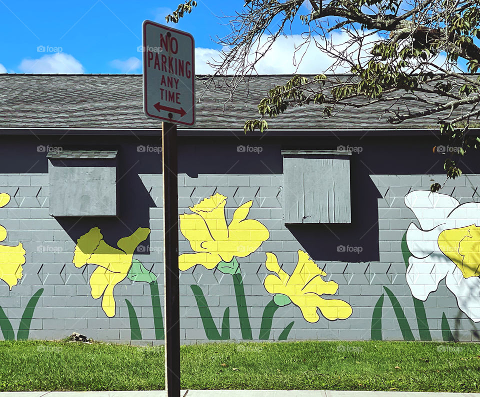 Daffodil mural…