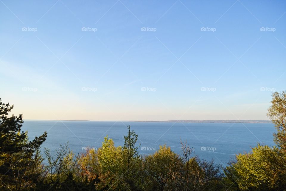 Landscape, Tree, Nature, Lake, Water