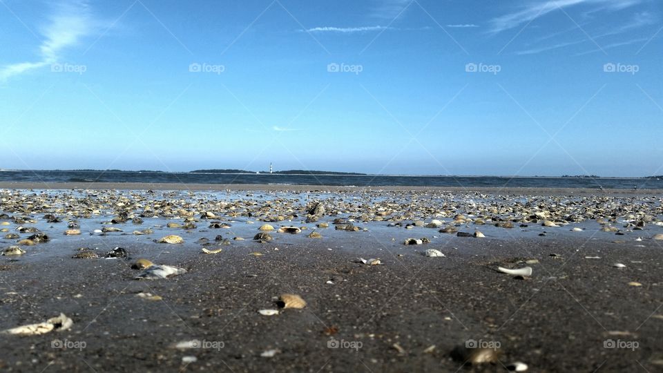 beach, shells,island