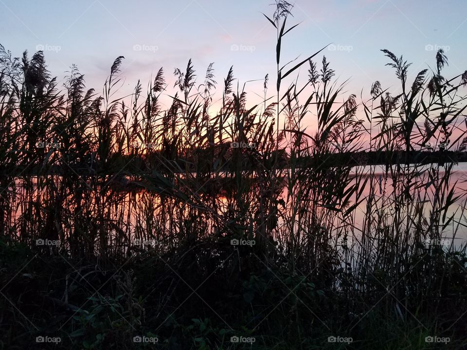 Sunset on  the  marshes