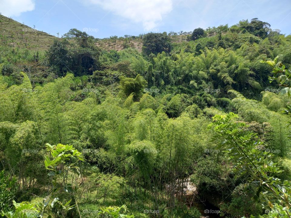 beautiful landscapes