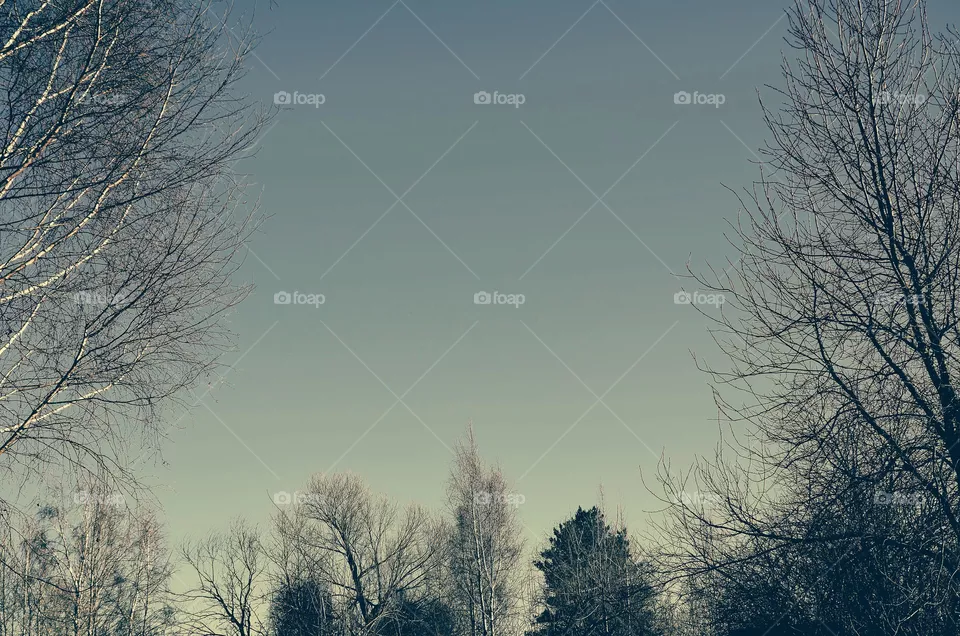 sky