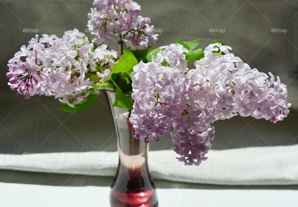 lilac purple 💜 flowers in vase