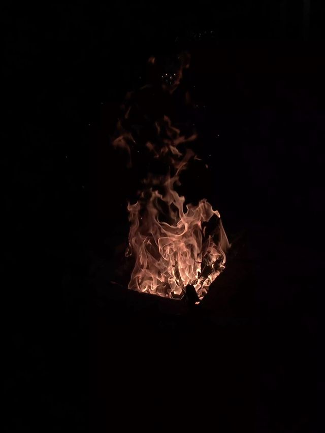 Orange Flames. Fire. Hot. Dangerous. Burn.
