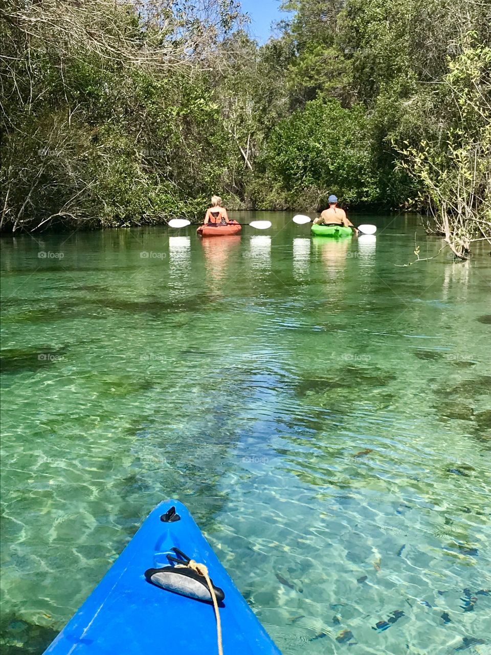 Kayaking the crystal clear Weeki Wachee Springs