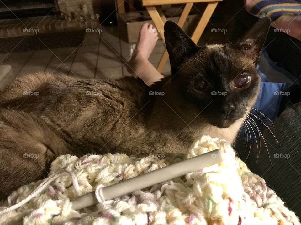 Ting, mom’s little helper...