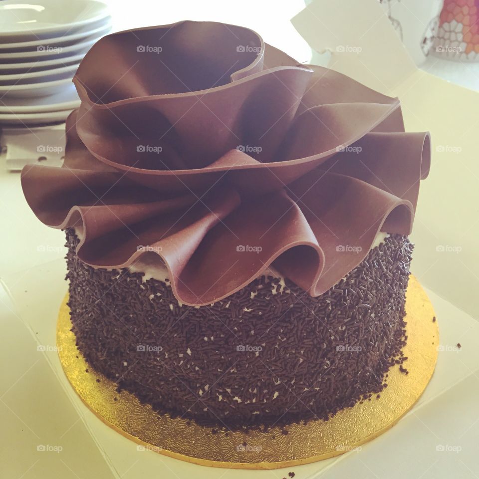 Decadent luxurious chocolate cake with cocoa praline and dark chocolate veil topping
